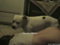 White doggy banged my sexy wife in doggy style